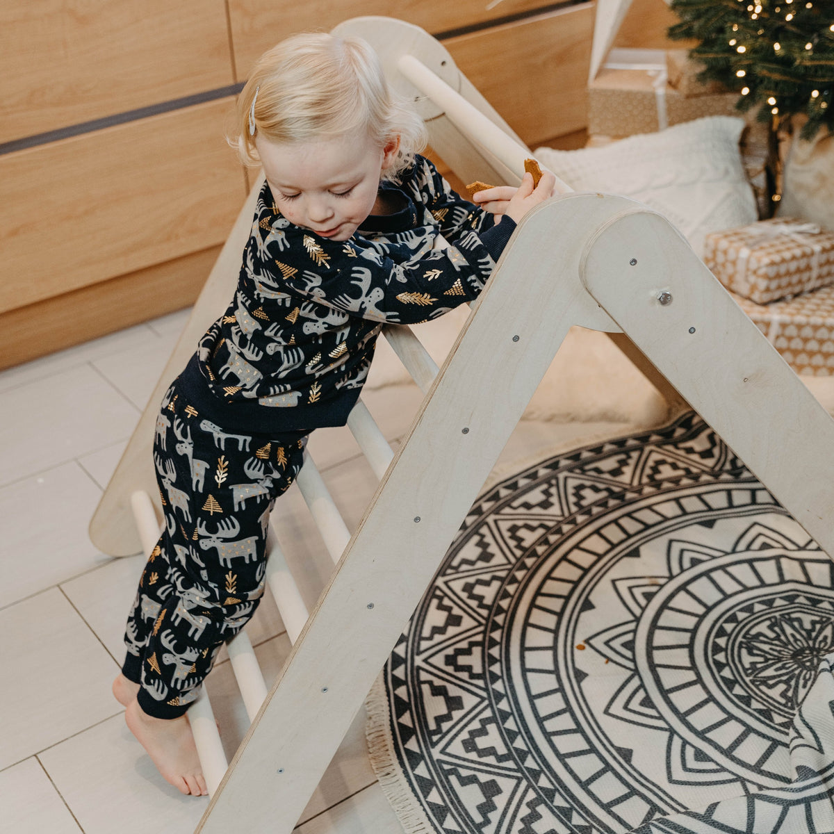 2-in-1 Montessori Climbing Triangle